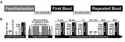 Psychological and Physiological Biomarkers of Neuromuscular Fatigue after Two Bouts of Sprint Interval Exercise